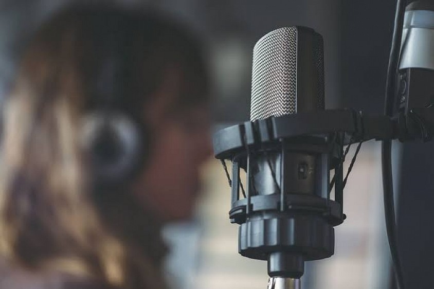 voice